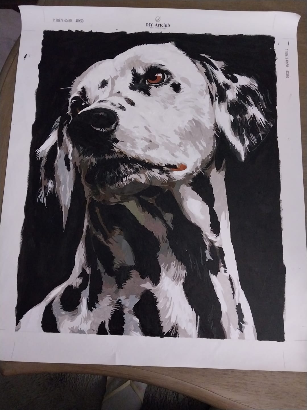 Customer photo review of Spotted | Paint by Number