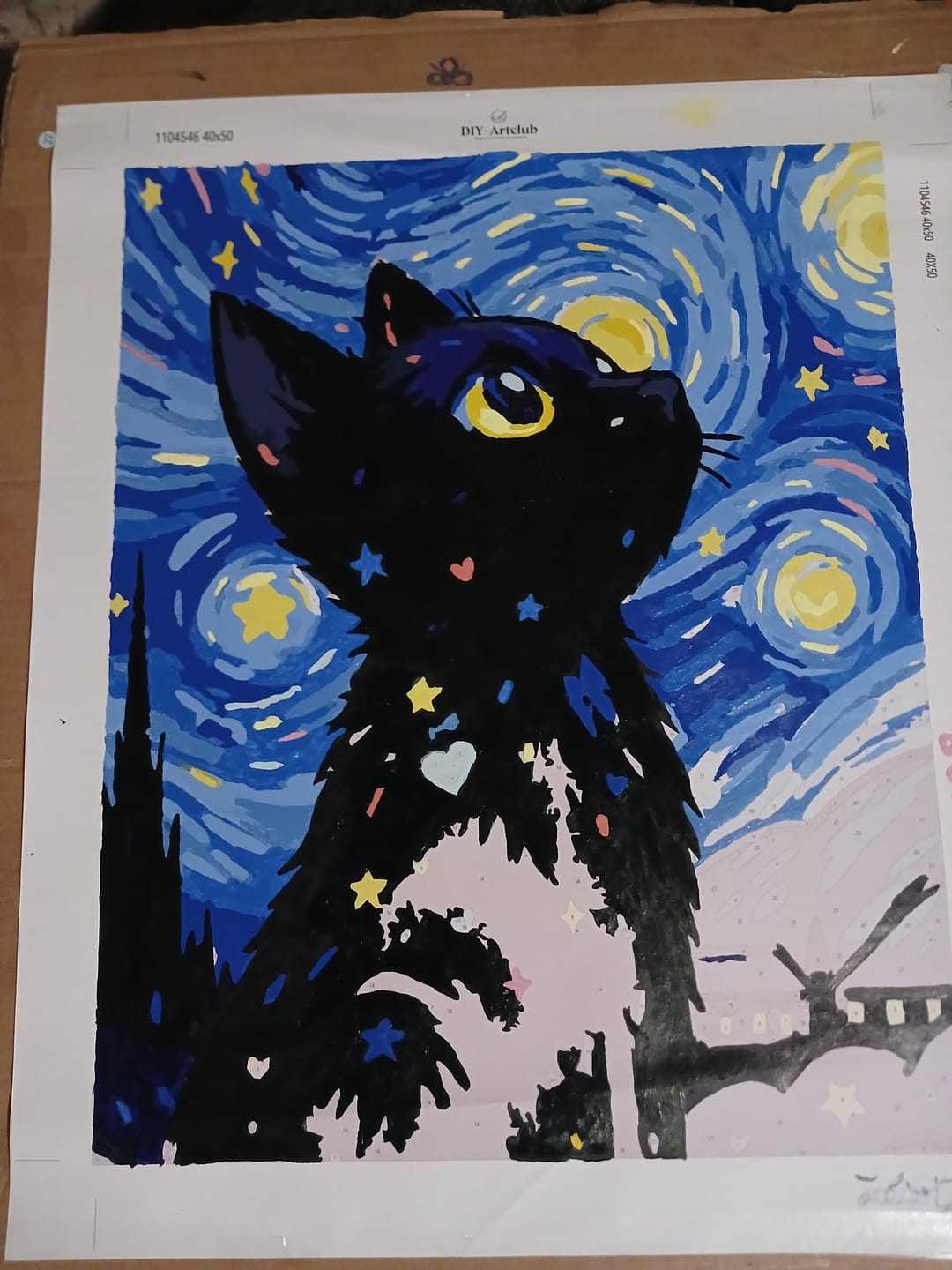 Customer photo review of Cat at the Starry Night | Paint by Number