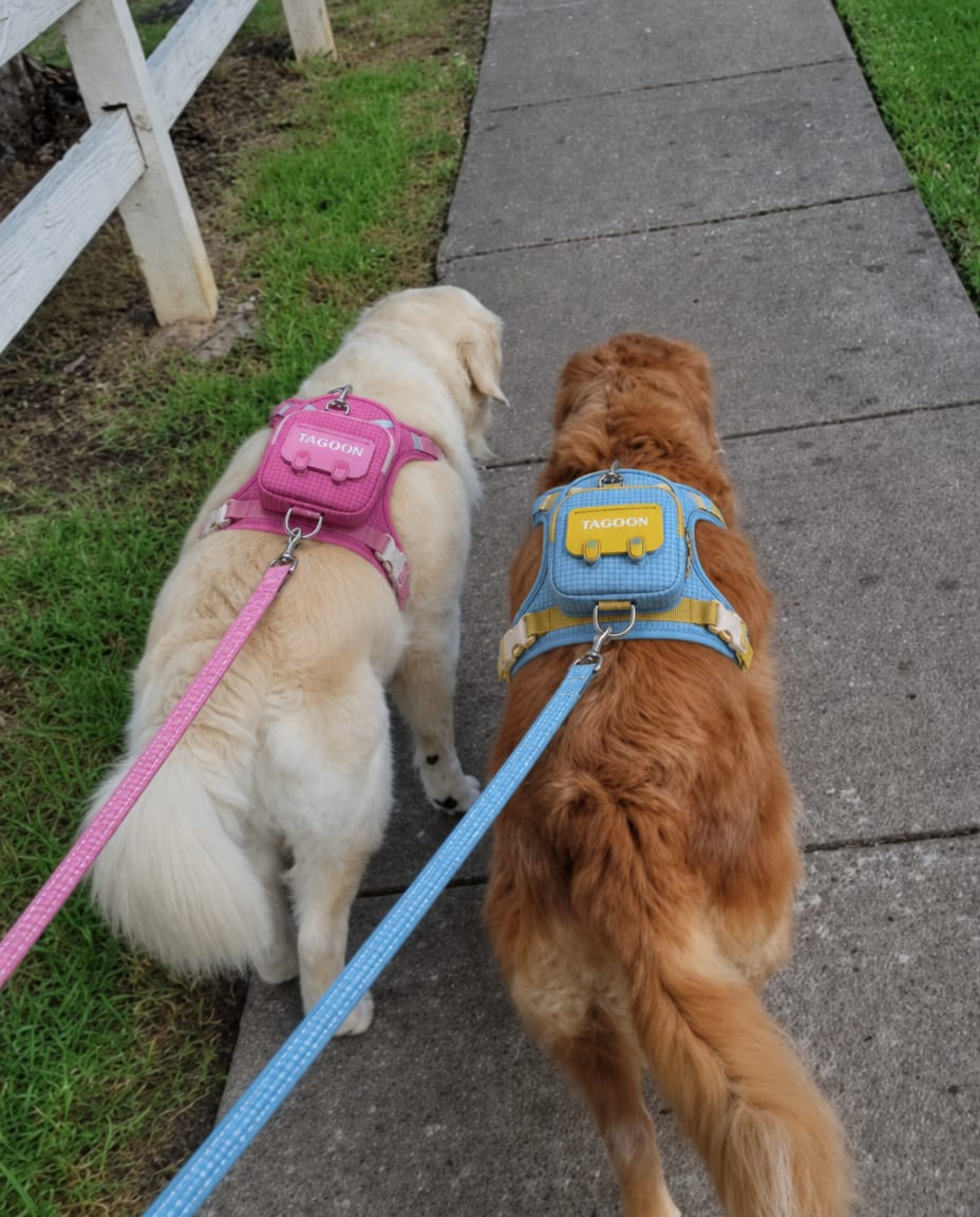 Customer photo review of Arnés-Mochila para perros