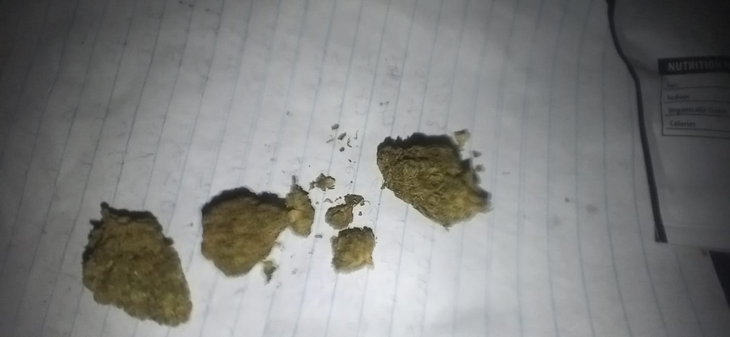 Customer photo review of Greenhouse Flower