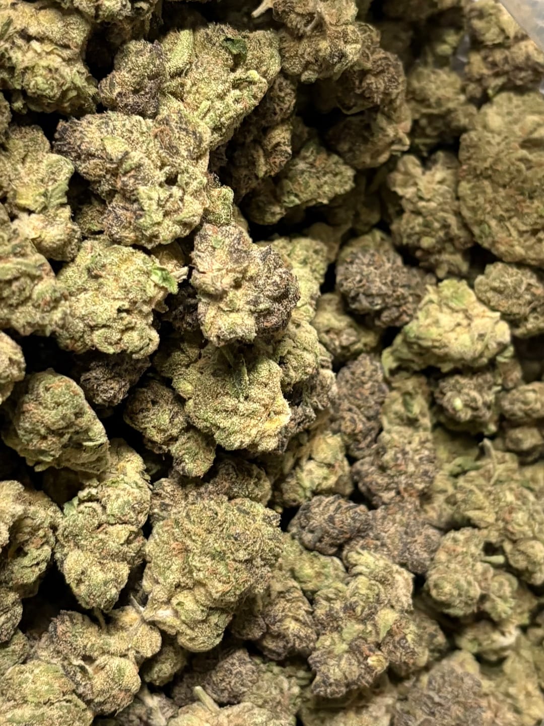 Customer photo review of Blue Cookies (Indoor) – Bulk THCA Flower 1 lb