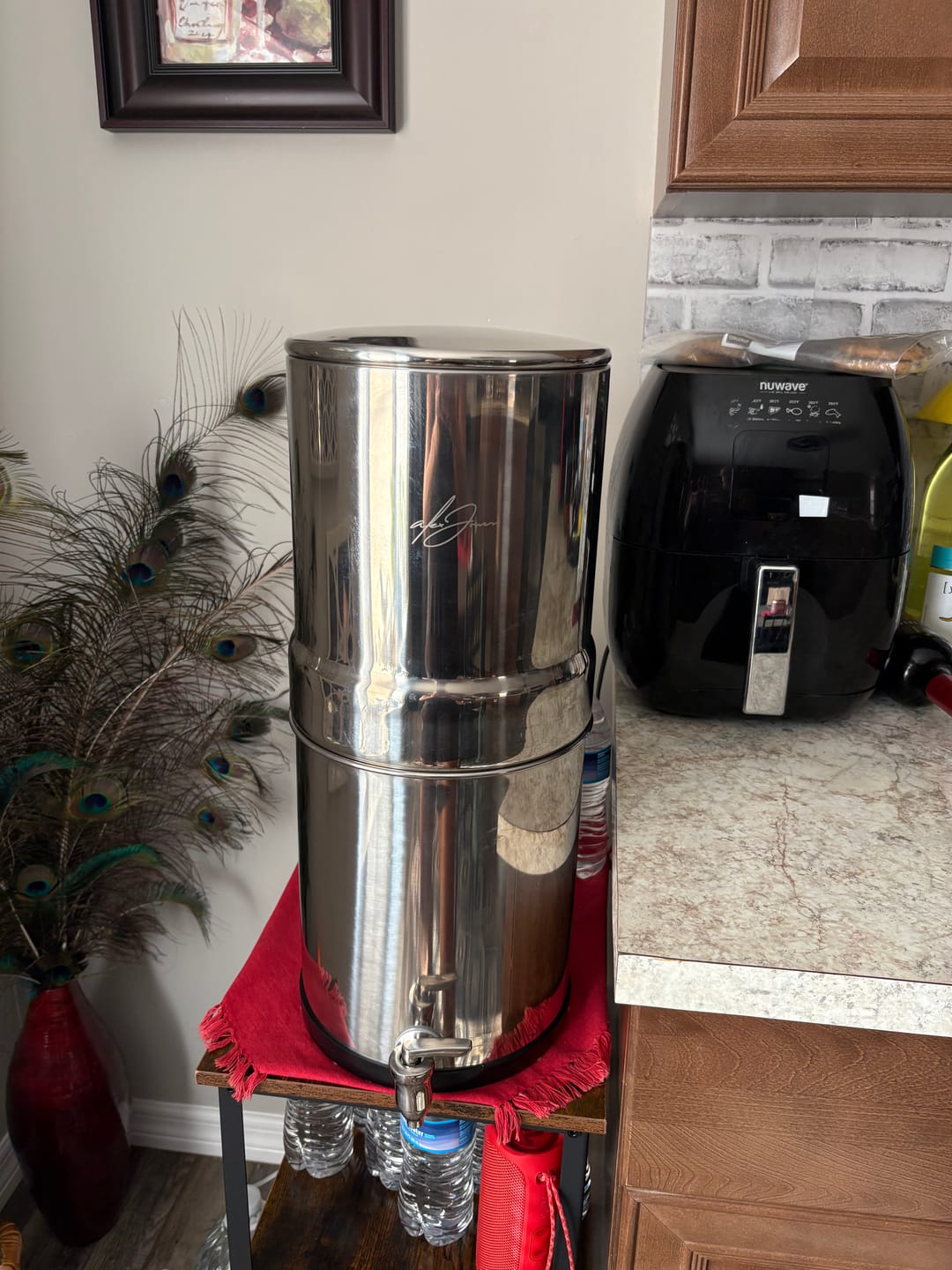 Customer photo review of Dual Carbon Platinum Gravity-Fed Water Filter System