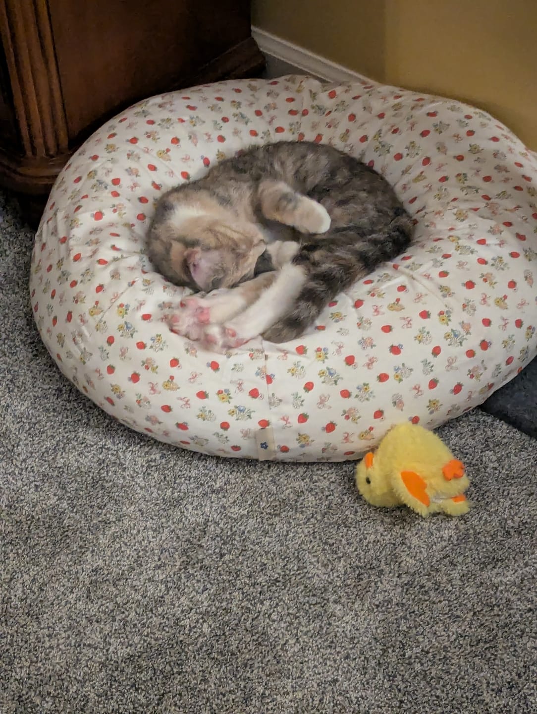 Customer photo review of Strawberry Jam Pudding Bed
