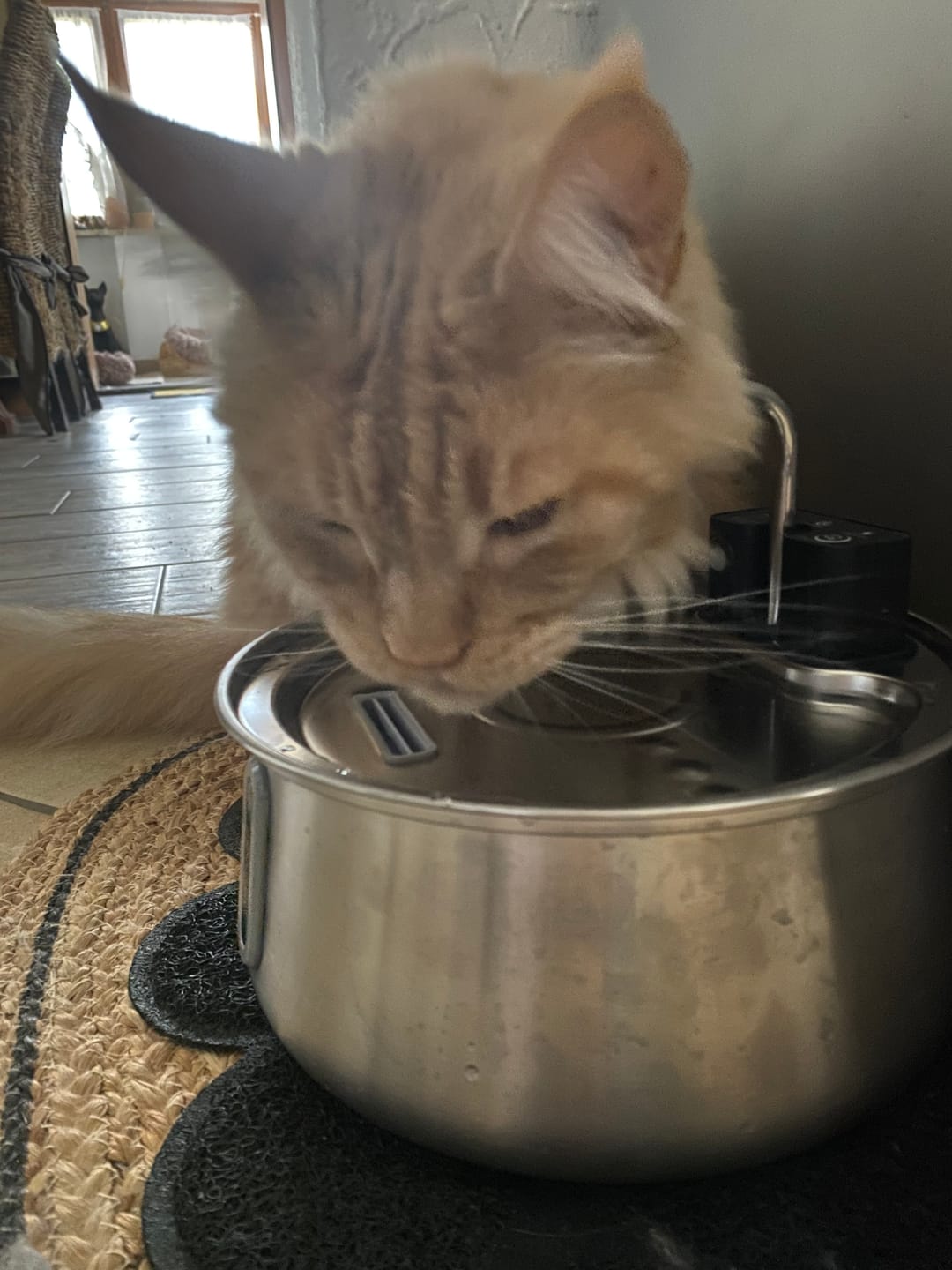 Customer photo review of TrinkTiger-Gutschein