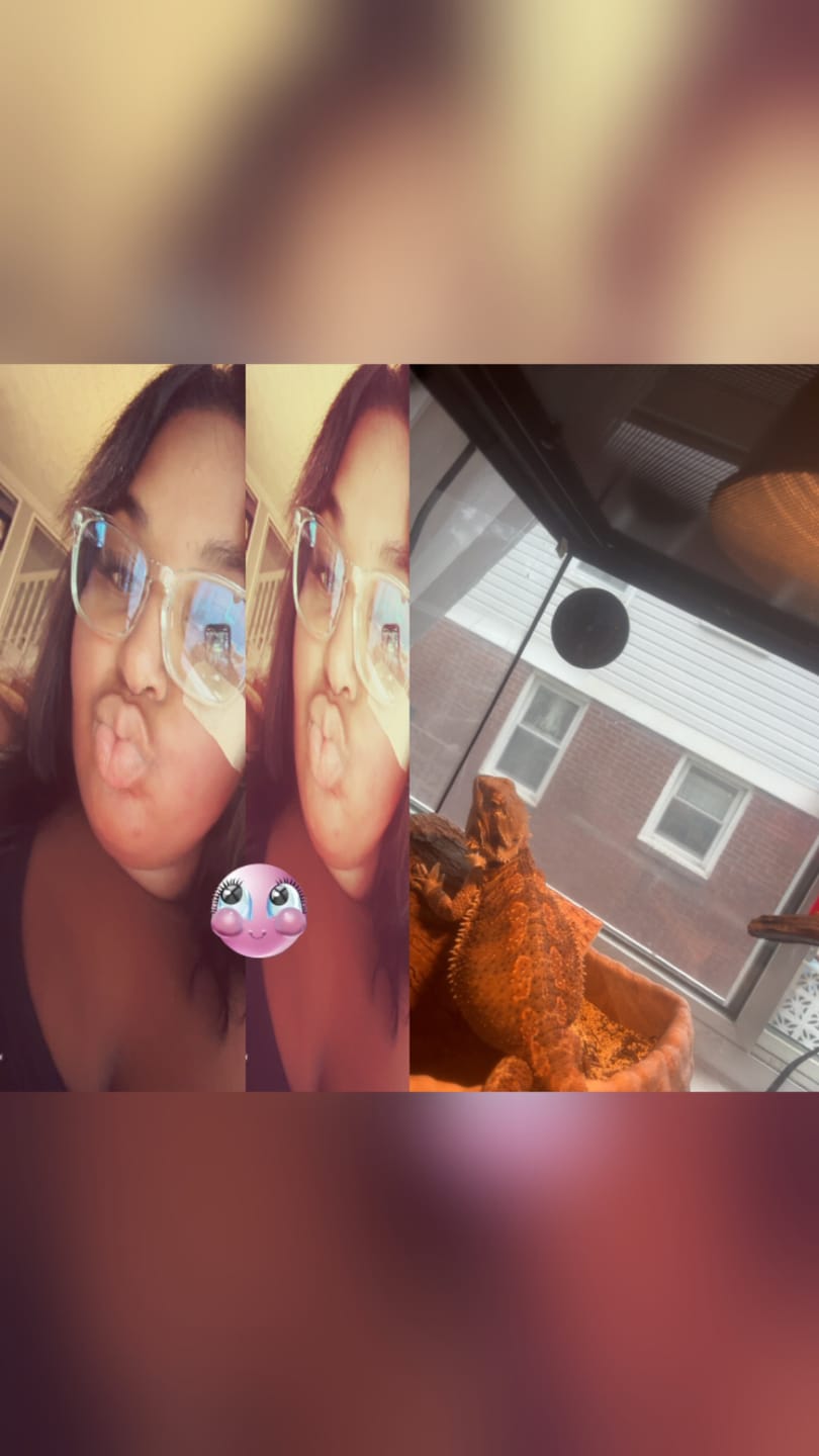 Customer photo review of Eyemoody Meteor Grey | 6 Months, 2 pcs