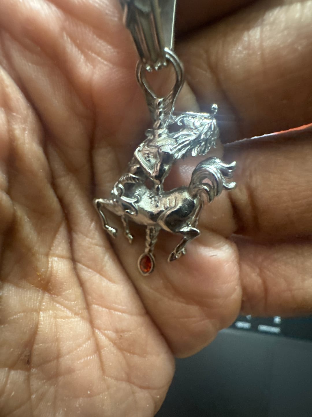 Customer photo review of ZODIAC PENDANTS