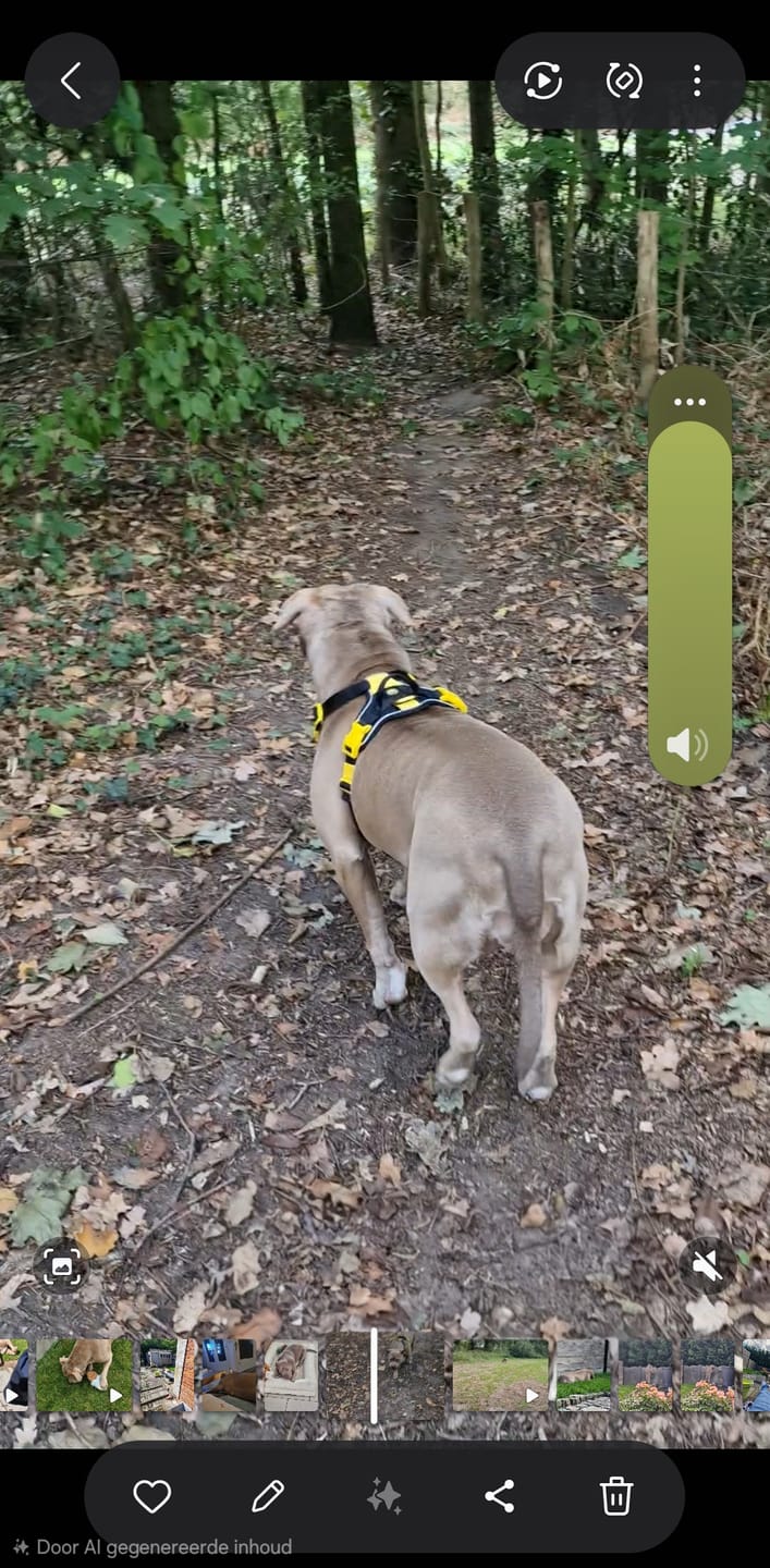 Customer photo review of Anti Pull Hurricane Harness Lighter | With Handle - Black X Yellow