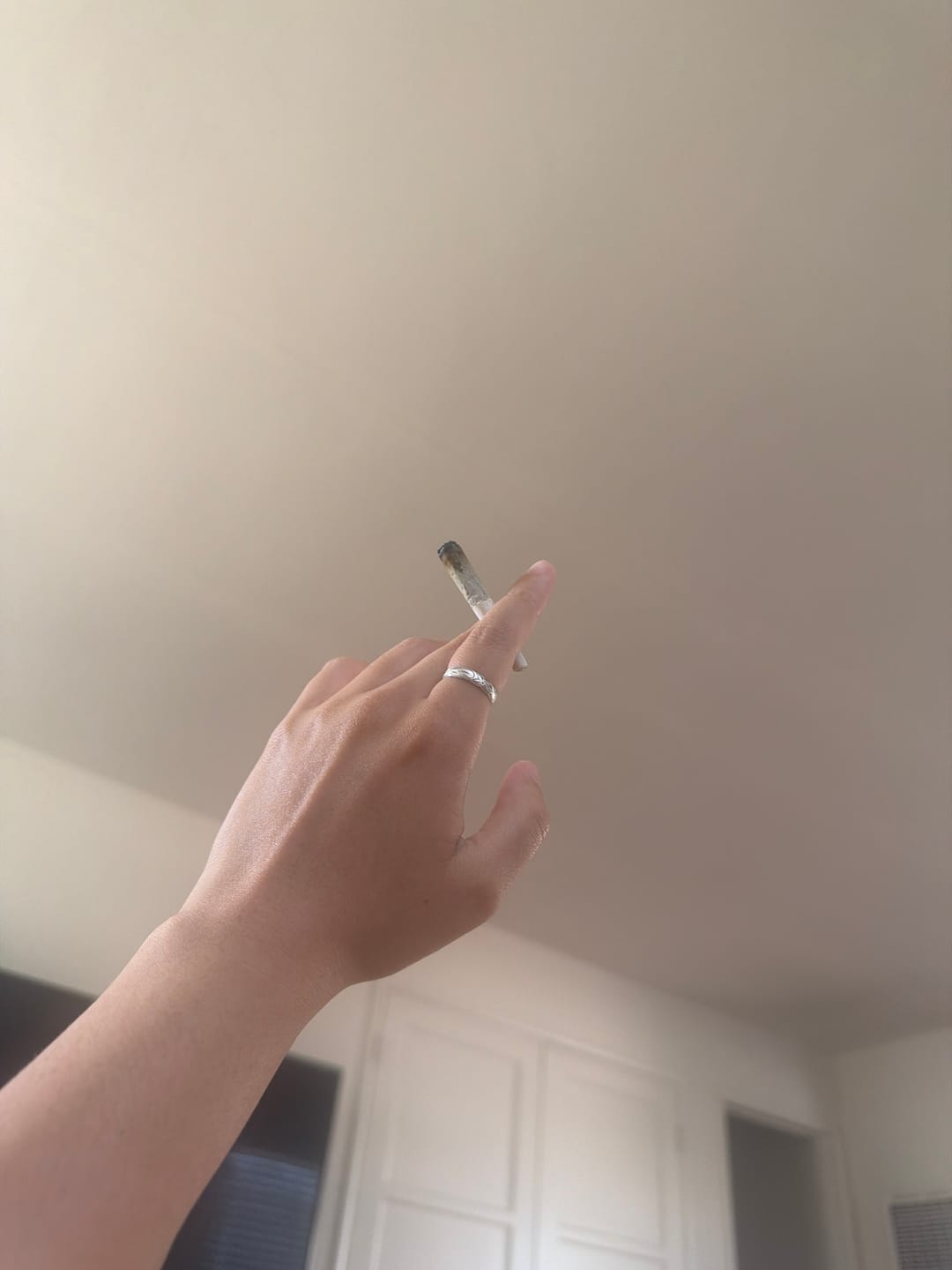 Customer photo review of CBD Pre-Rolls - Original Box