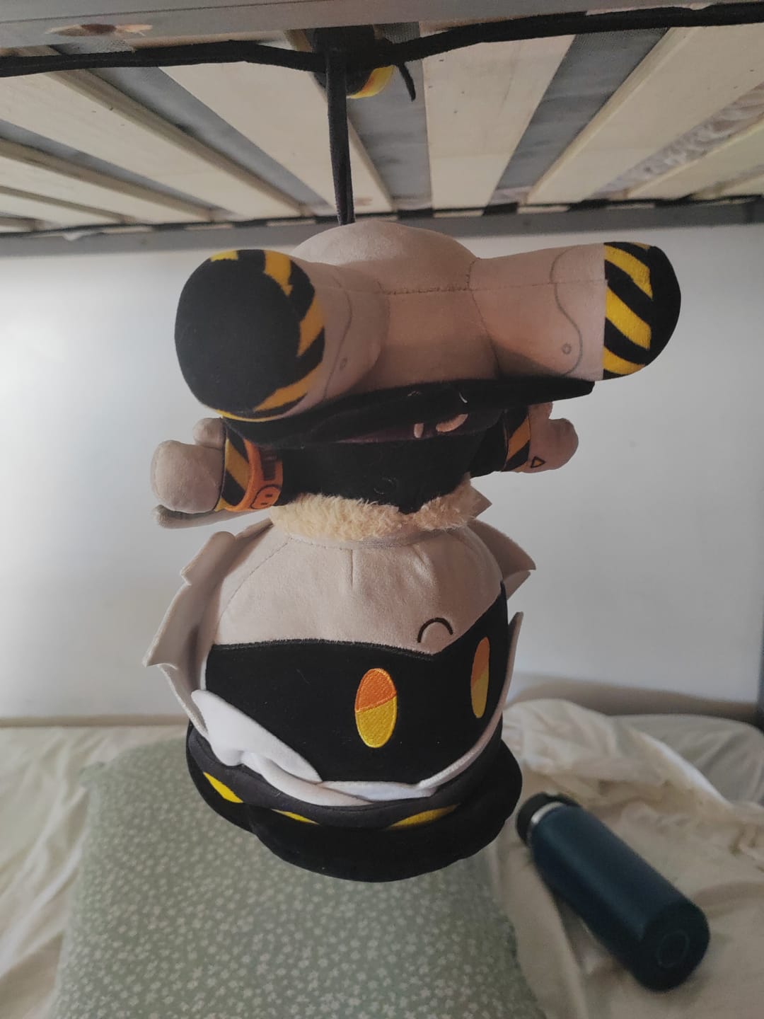 Customer photo review of N Plush