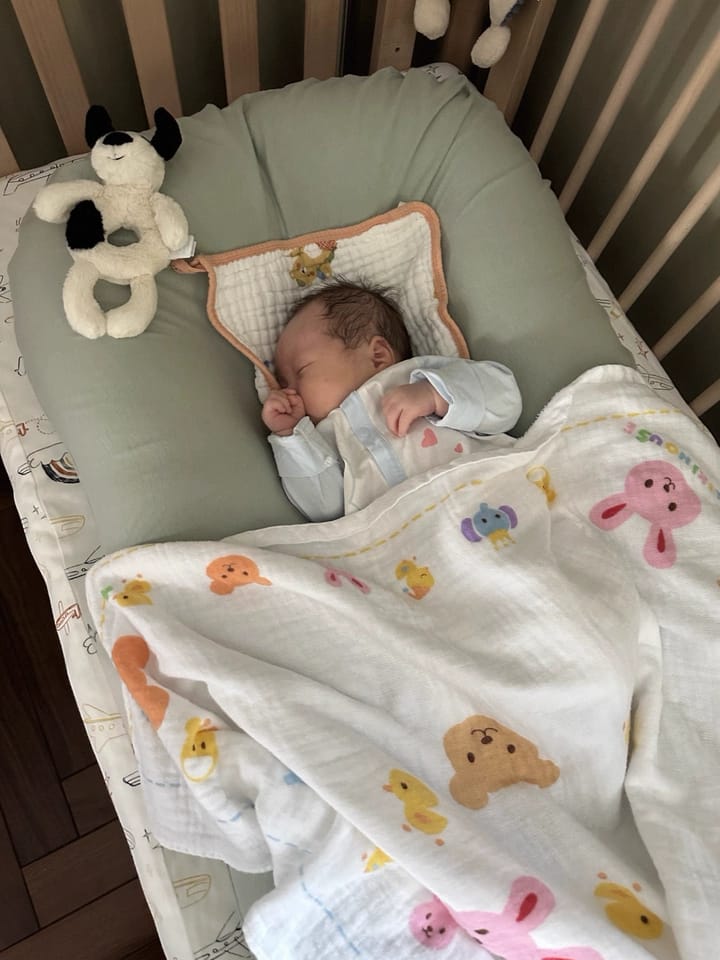 Customer photo review of Pastel Cotton Baby Lounger Nest