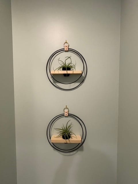 Customer photo review of Air Plant Shelf + Pot Duo