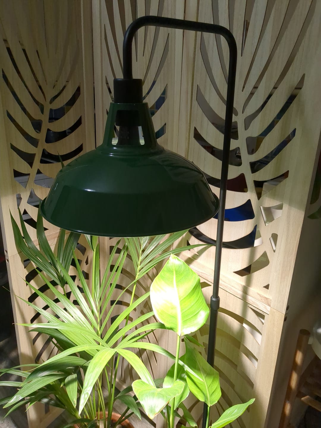 Customer photo review of Pianta Grow Light and Adjustable Floor Lamp Bundle
