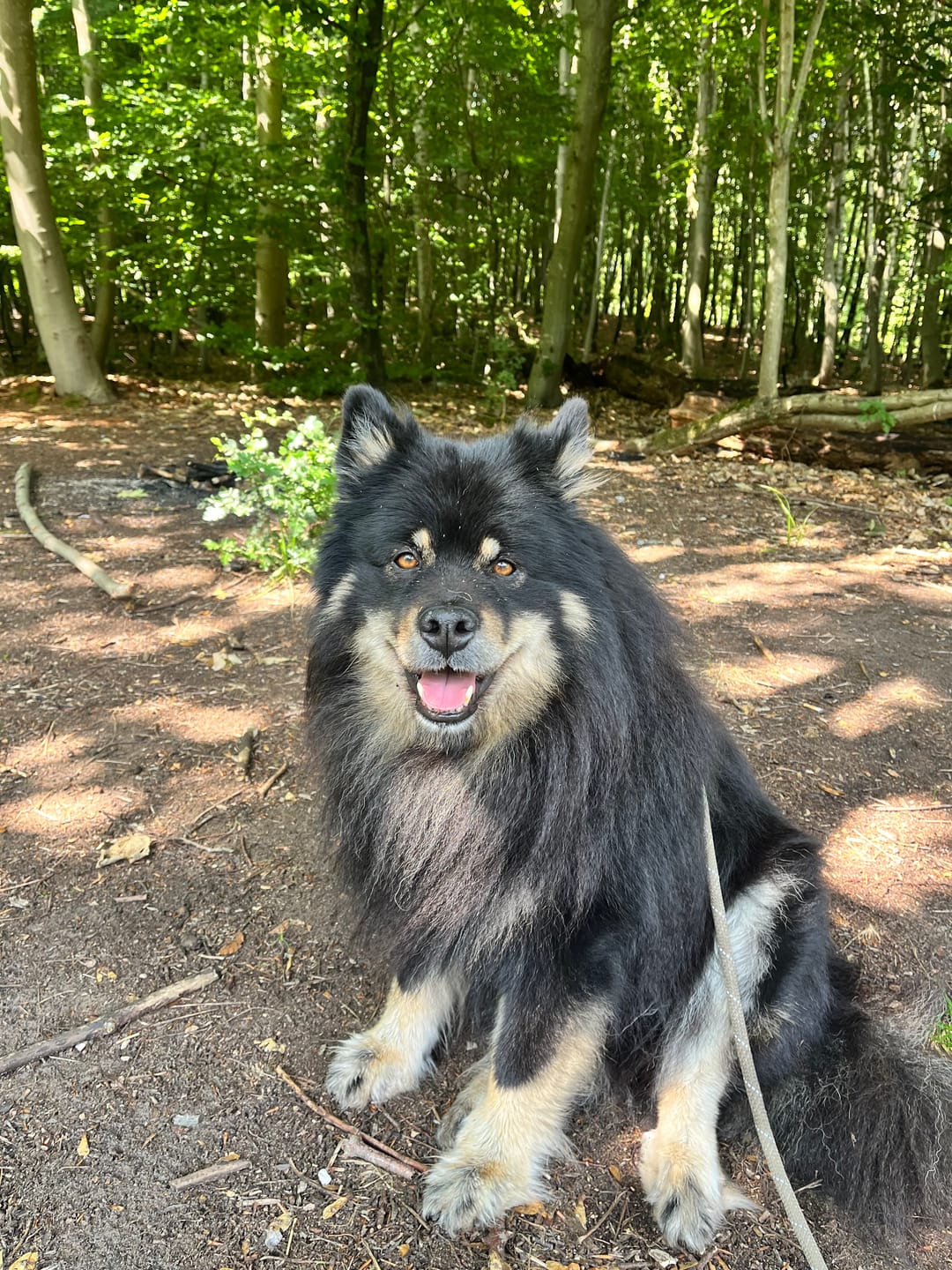Customer photo review of Barkii - Kollagen Tyggeben m. And