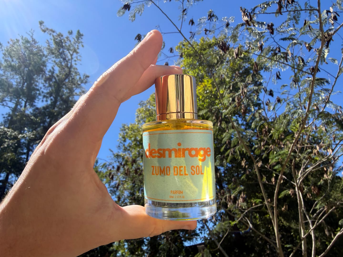 Customer photo review of ZUMO DEL SOL