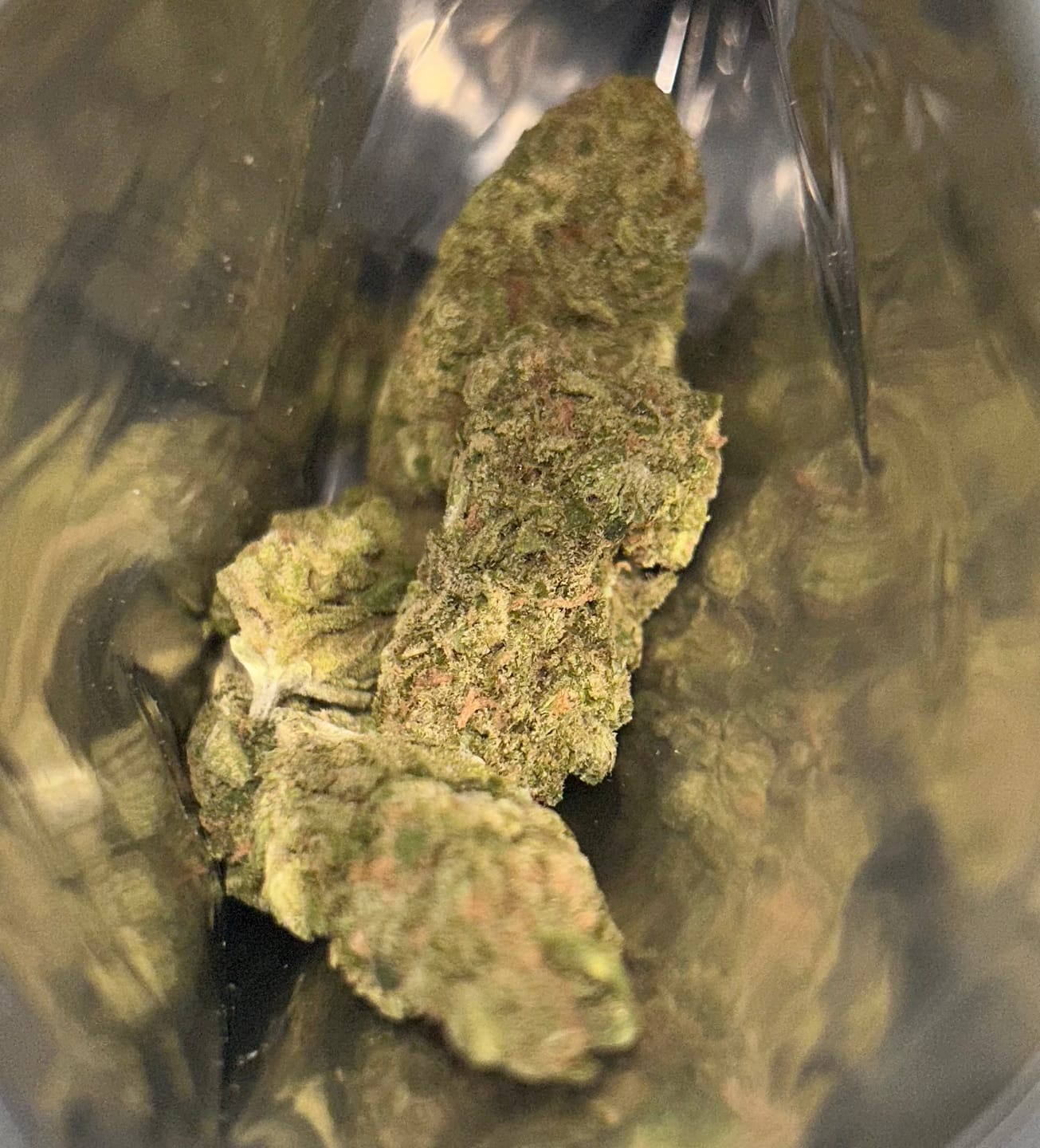 Customer photo review of Blue Dream