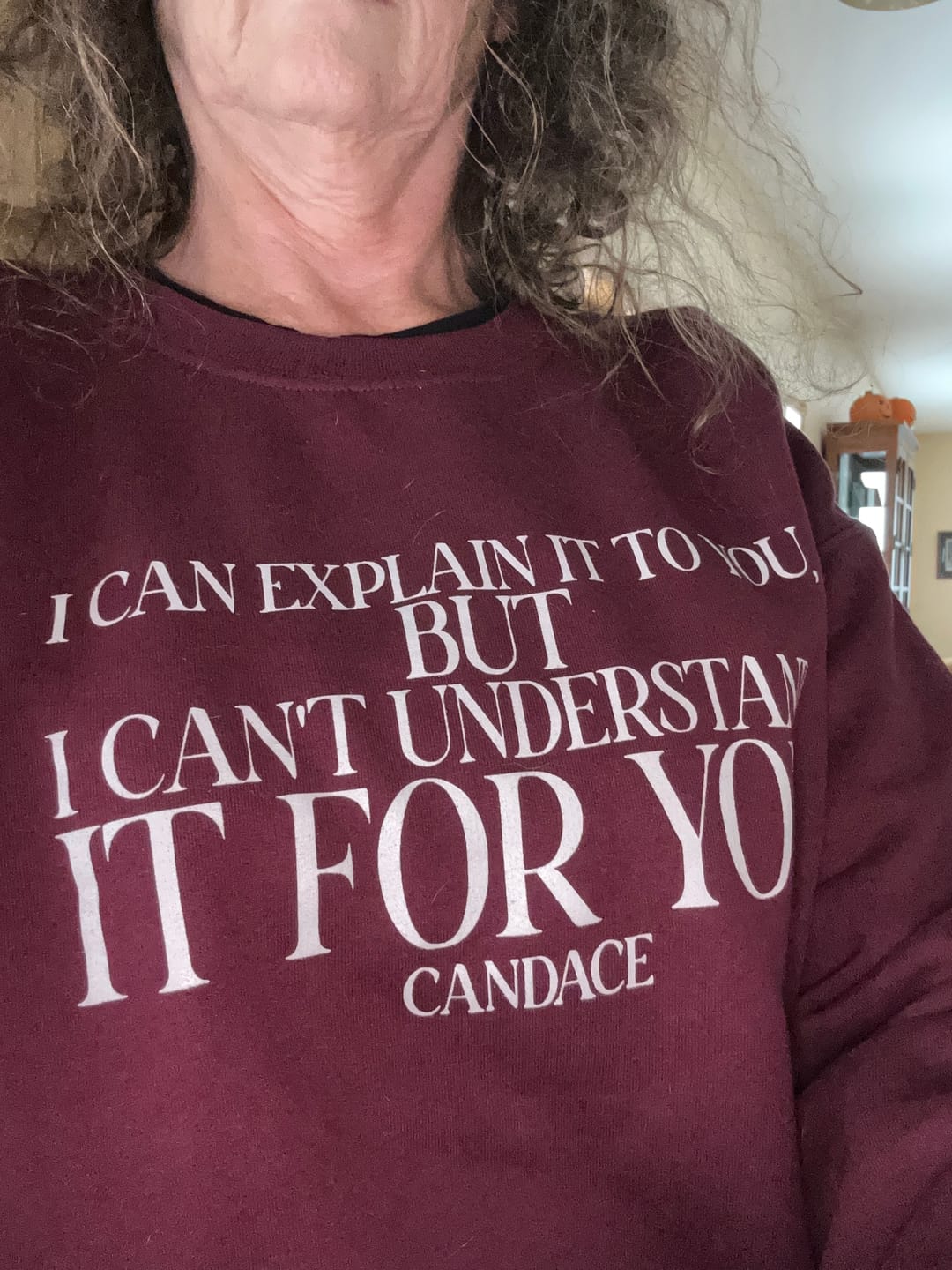 Customer photo review of "I can explain it to you, but I cant understand it for you"  Crewneck