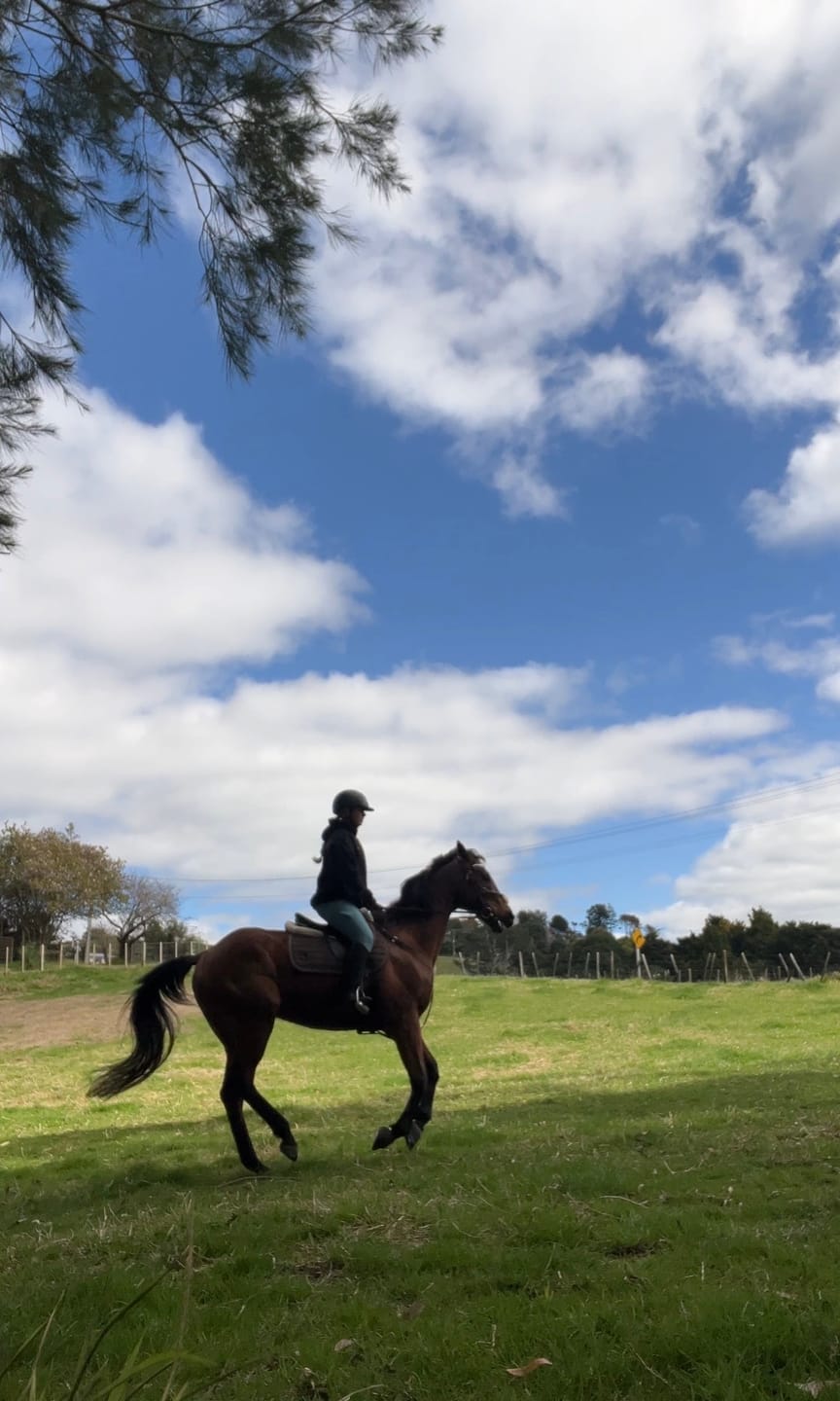 Customer photo review of Riding Tights - Acqua