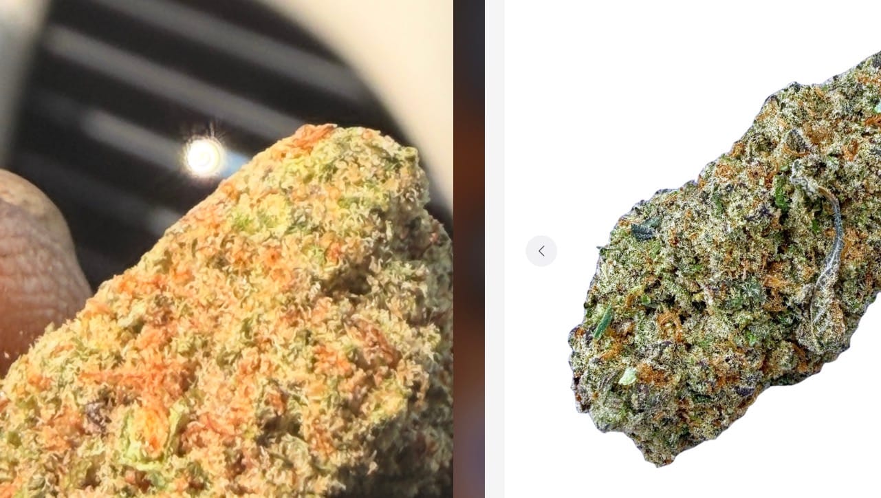 Customer photo review of Glitter Bomb (Wholesale)