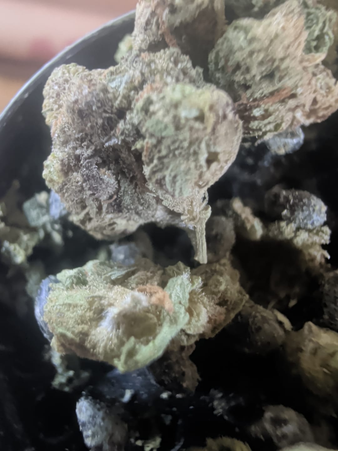 Customer photo review of Red Velvet (Indoor Smalls) - THCA Flower