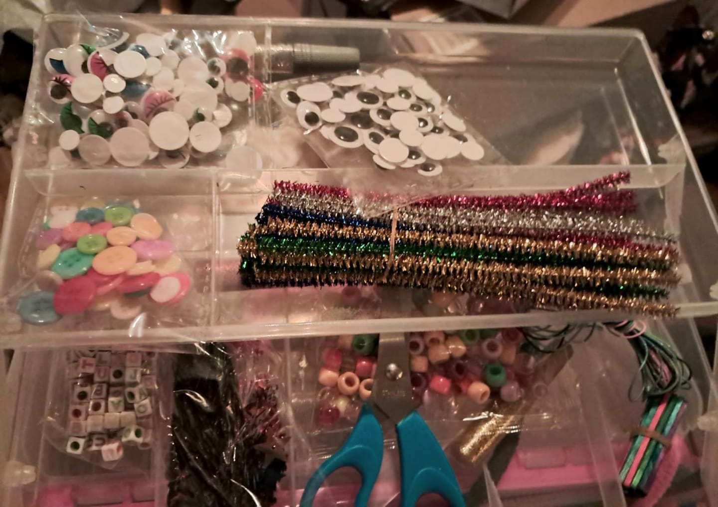 Customer photo review of Deluxe Craft Box