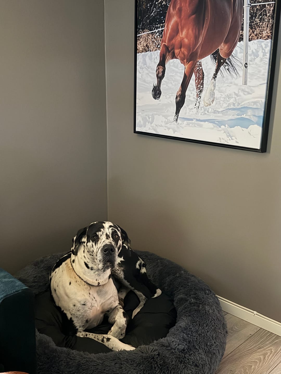 Customer photo review of CalmBed - Motverkar stress & hjälper mot ångest