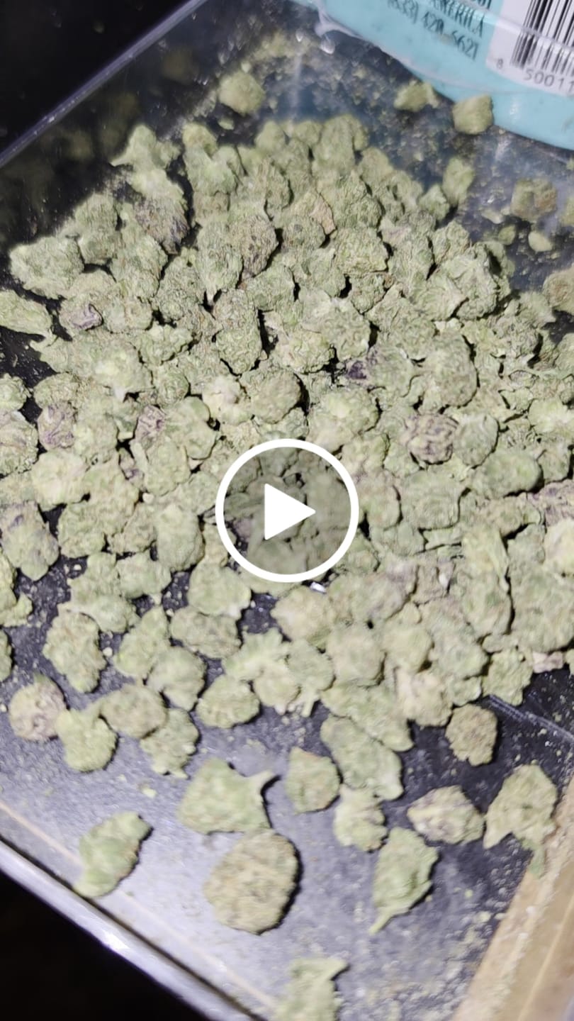Customer video review of 1 Oz Cheap THCA Small Buds