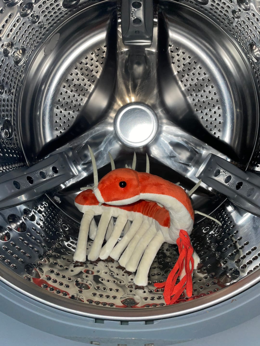 Customer photo review of Hallucigenia Cambrian Animal Soft Stuffed Plush Toy