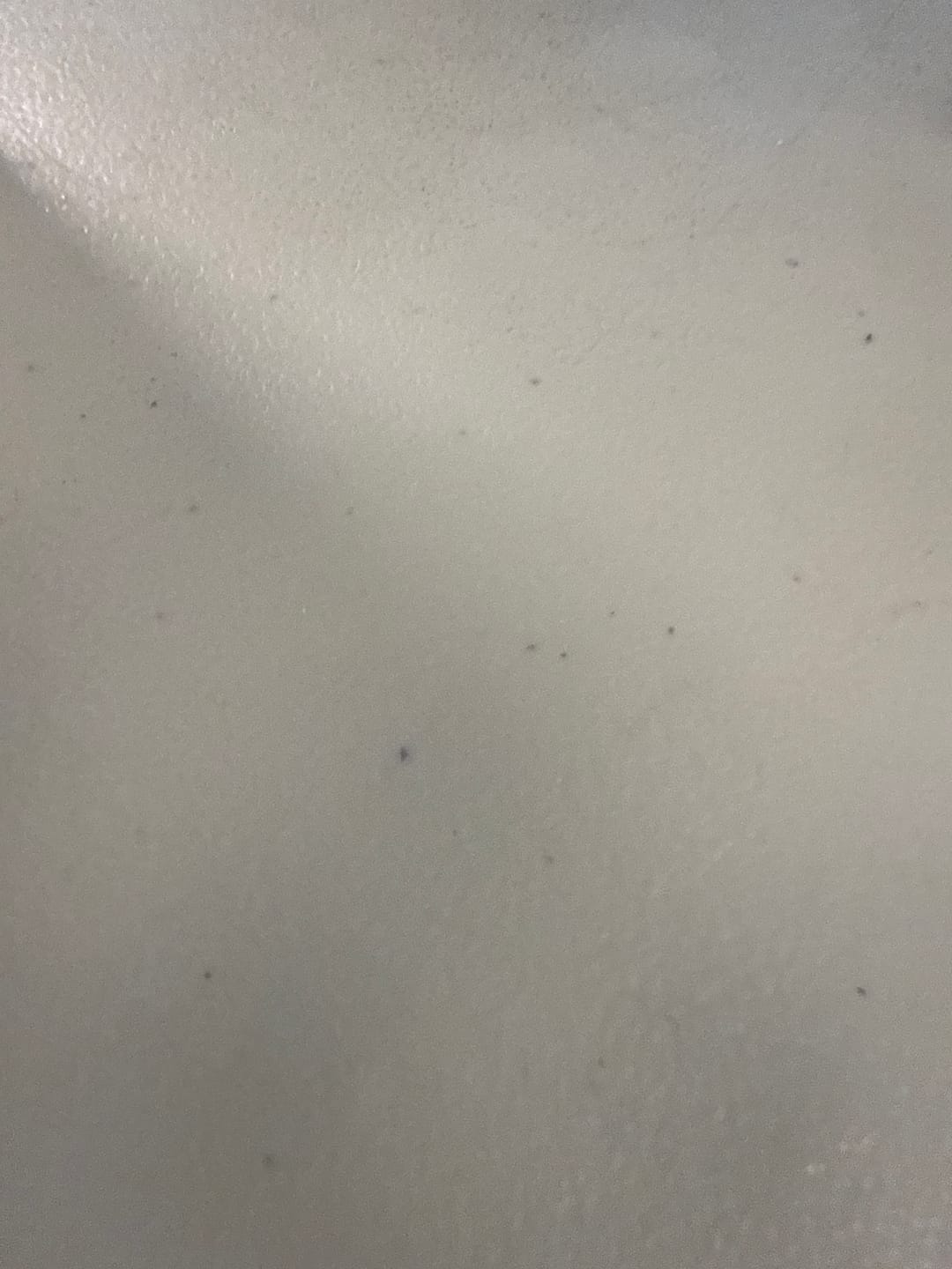 Customer photo review of King Louis XIII - 28 Grams - Indica