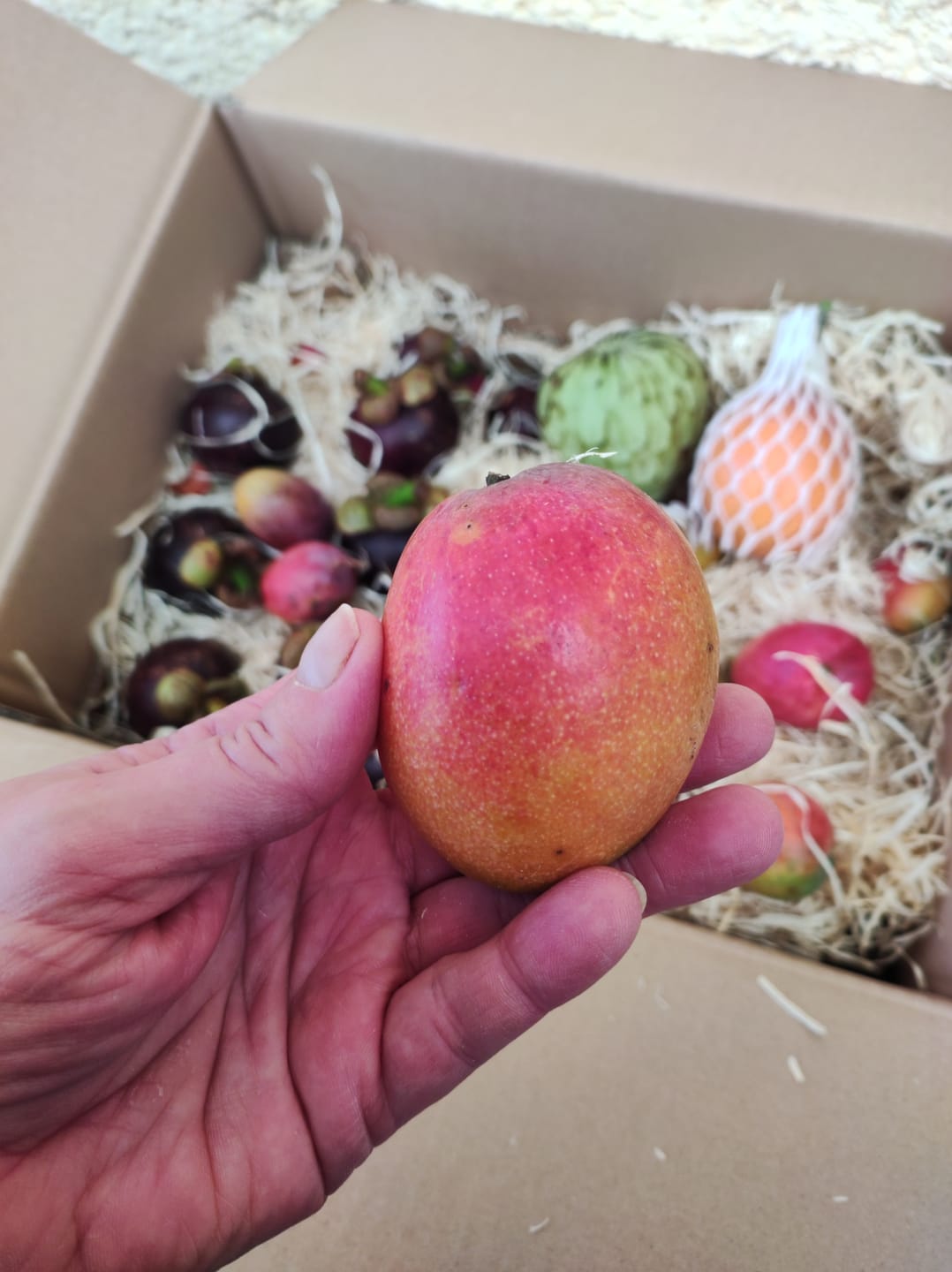 Customer photo review of Baby-Mango Irwin Bio von Julian