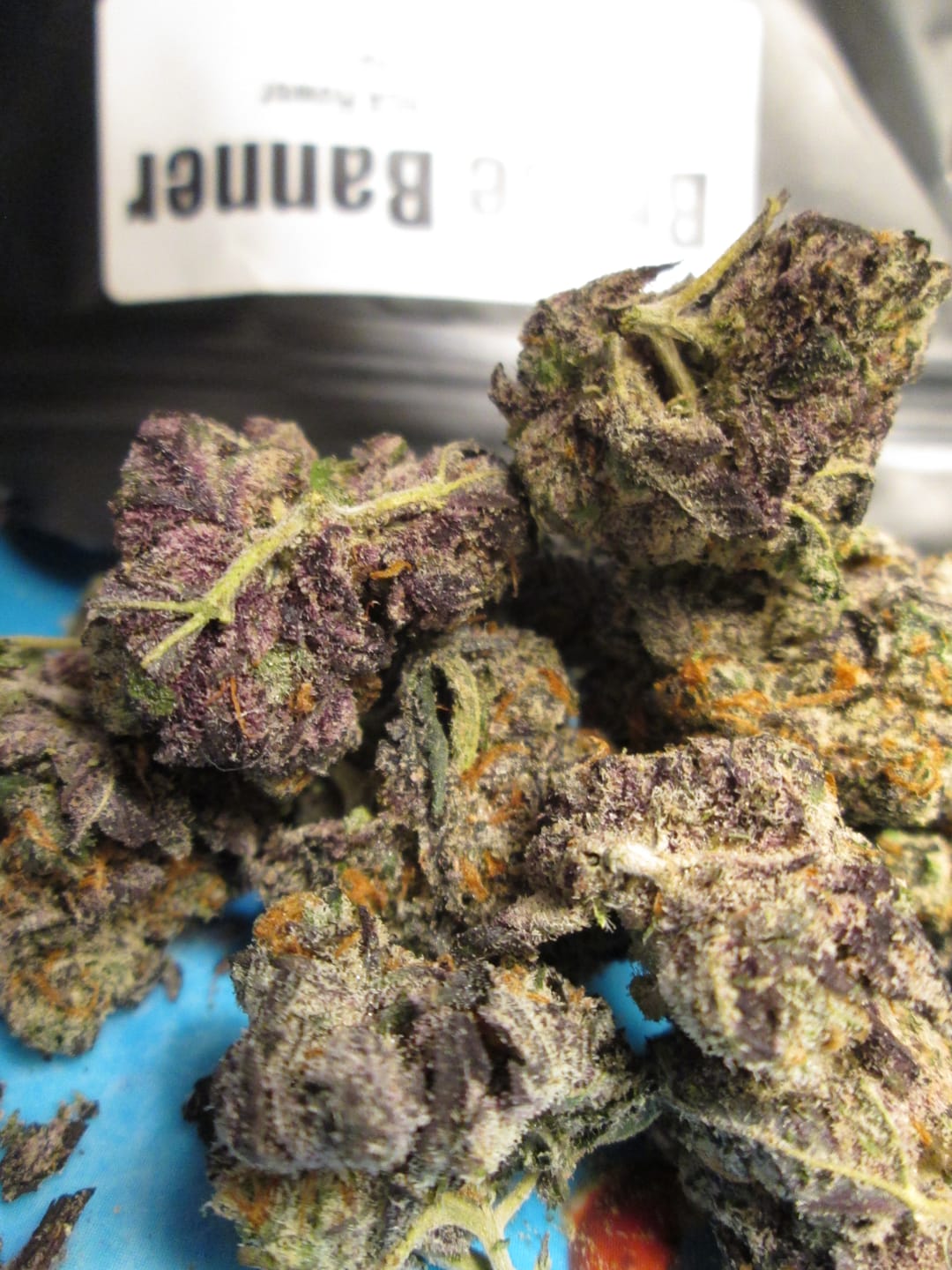 Customer photo review of Bruce Banner THCA Flower (Premium)