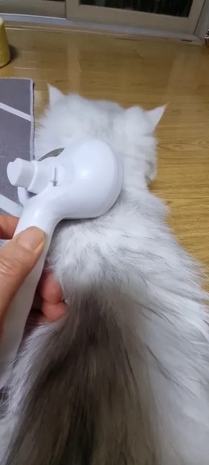 Customer photo review of Gruum | CloudCoat Pro Brush