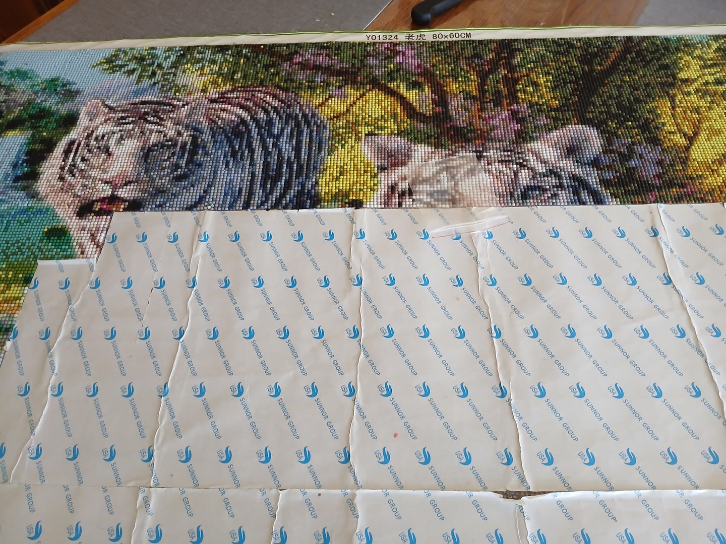 Customer photo review of Sachets de Diamants additionnels pour la Broderie Diamant