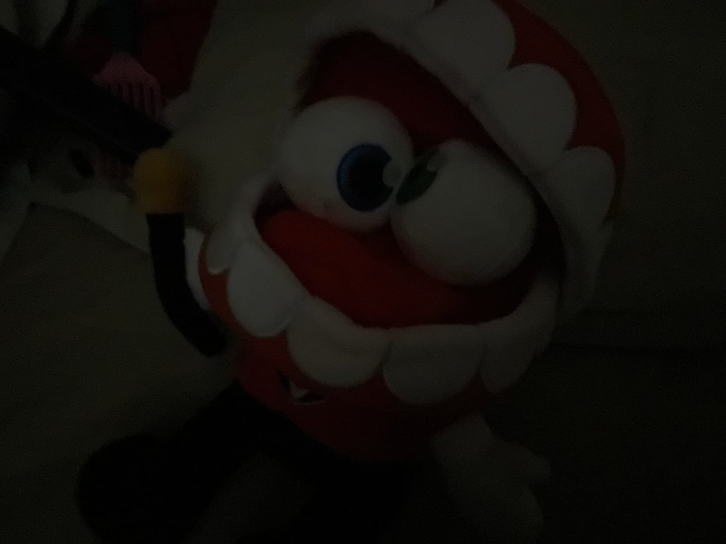Customer photo review of Caine Plush