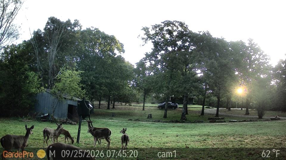 Customer photo review of GardePro Link 1.0 3000ft(1km) Long-Range WiFi Trail Camera