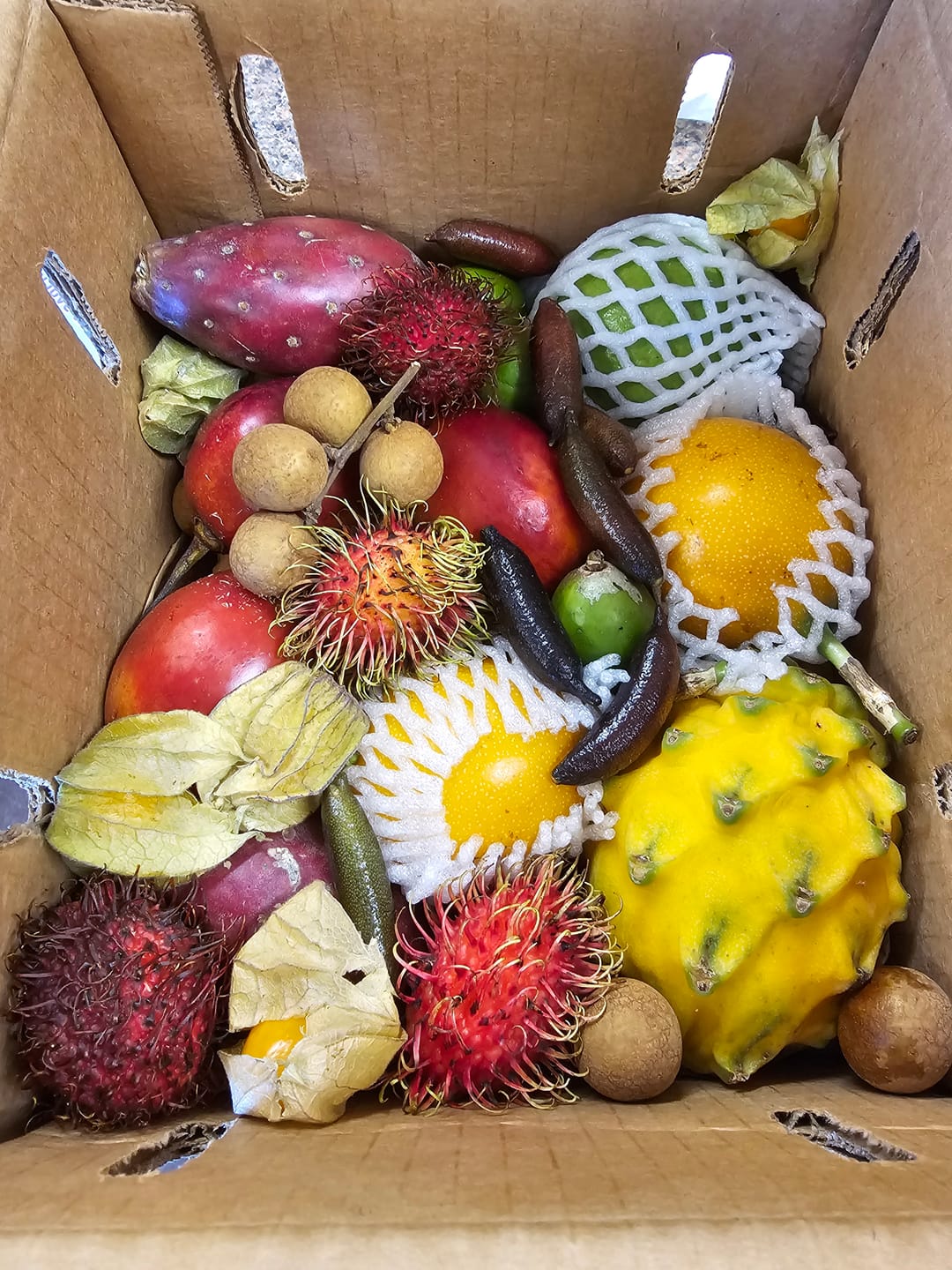 Customer photo review of Ready-to-Eat Tropical Fruit Box