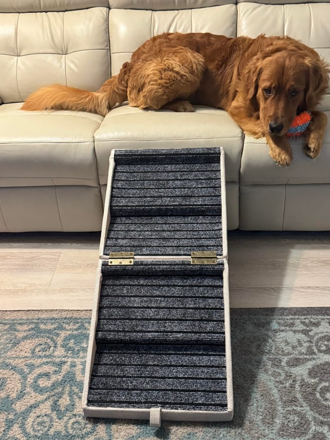Customer photo review of 2-in-1 Foldable Dog Stairs Ramp for Bed and Couch