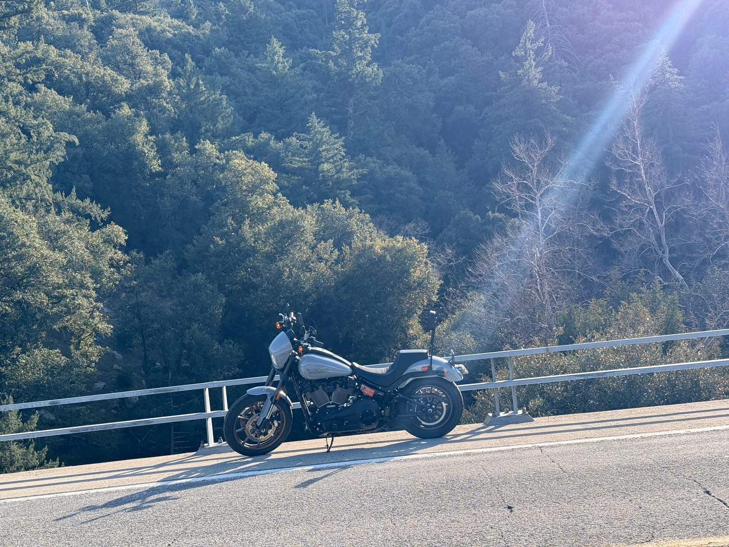 Customer photo review of Viking Iron Born Plain Leather Short Motorcycle Backrest Pad for Harley Davidson Foldable Sissy Bar