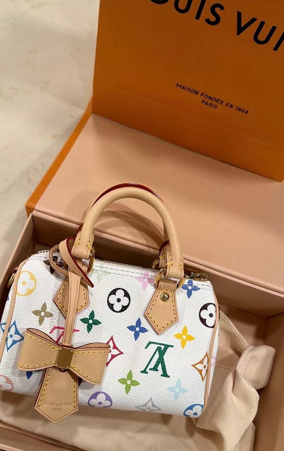 Customer photo review of LV x TM Nano Speedy