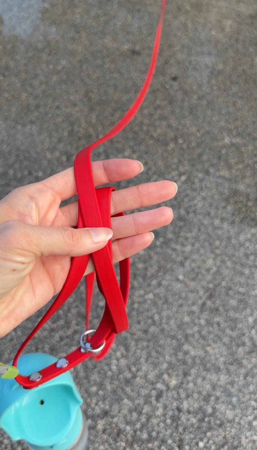 Customer photo review of Tracking, Competition & Lightweight Leash / Long Line | BioThane