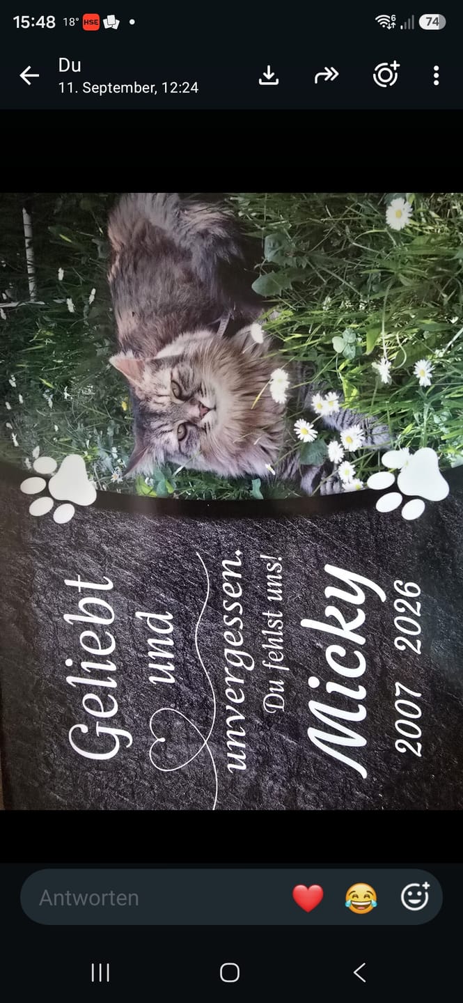 Customer photo review of Katzen Gedenktafel mit Foto & Spruch (UV- & Wetterfest)