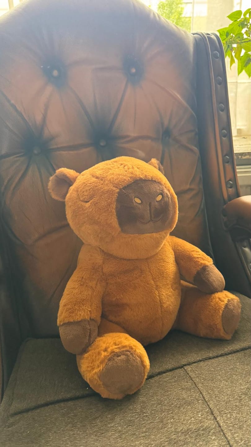 Customer photo review of Huggle Buddy Capybara Verzwaringsknuffel (2kg)