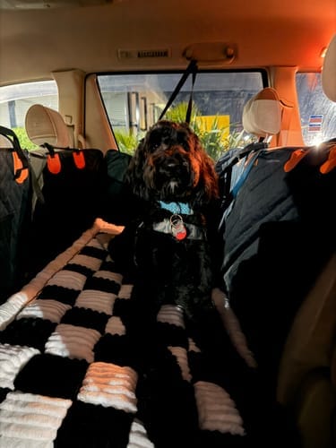 Customer photo review of PawLow Hard Bottom Seat Cover