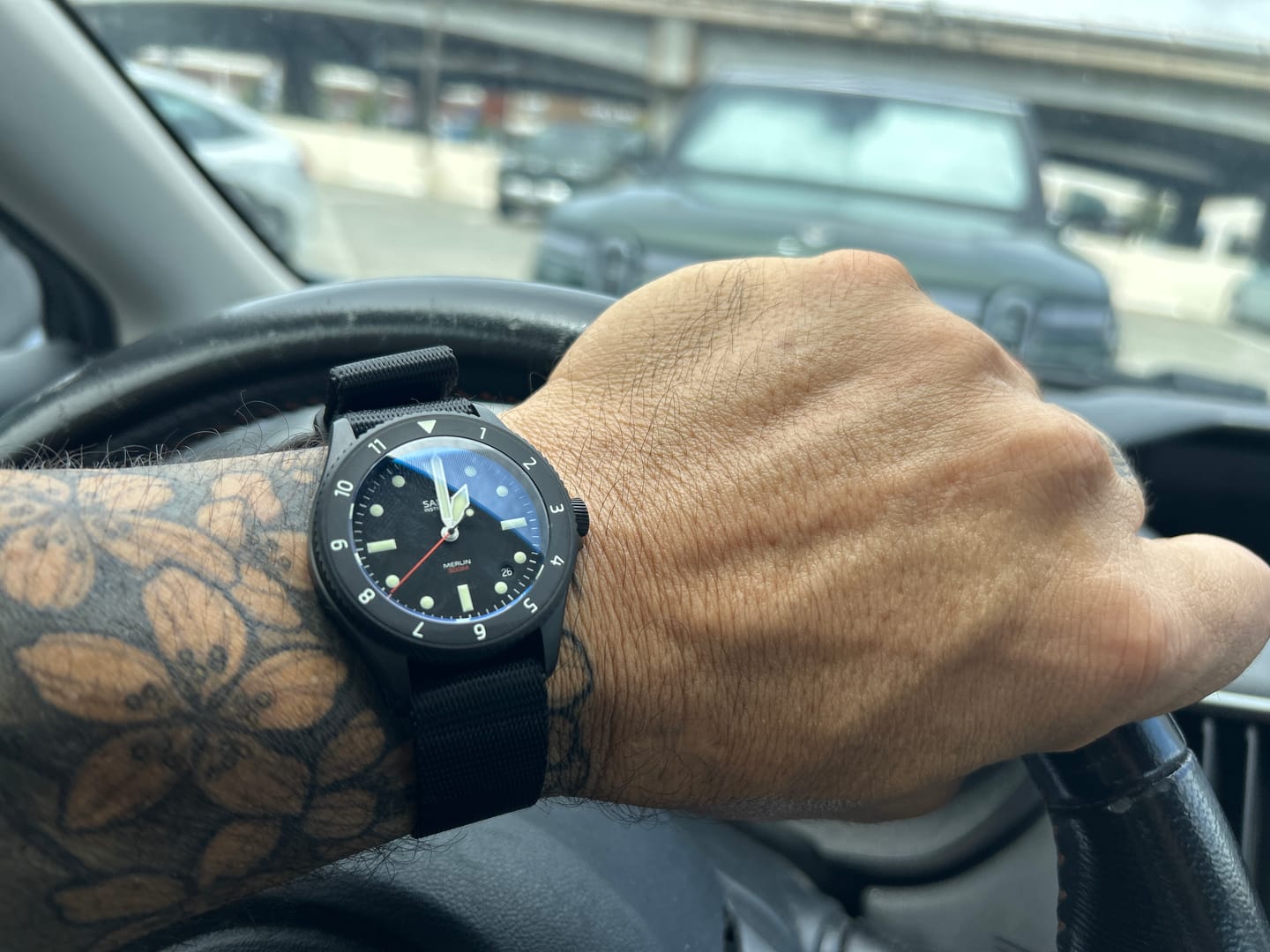 Customer photo review of Merlin (Private Release)