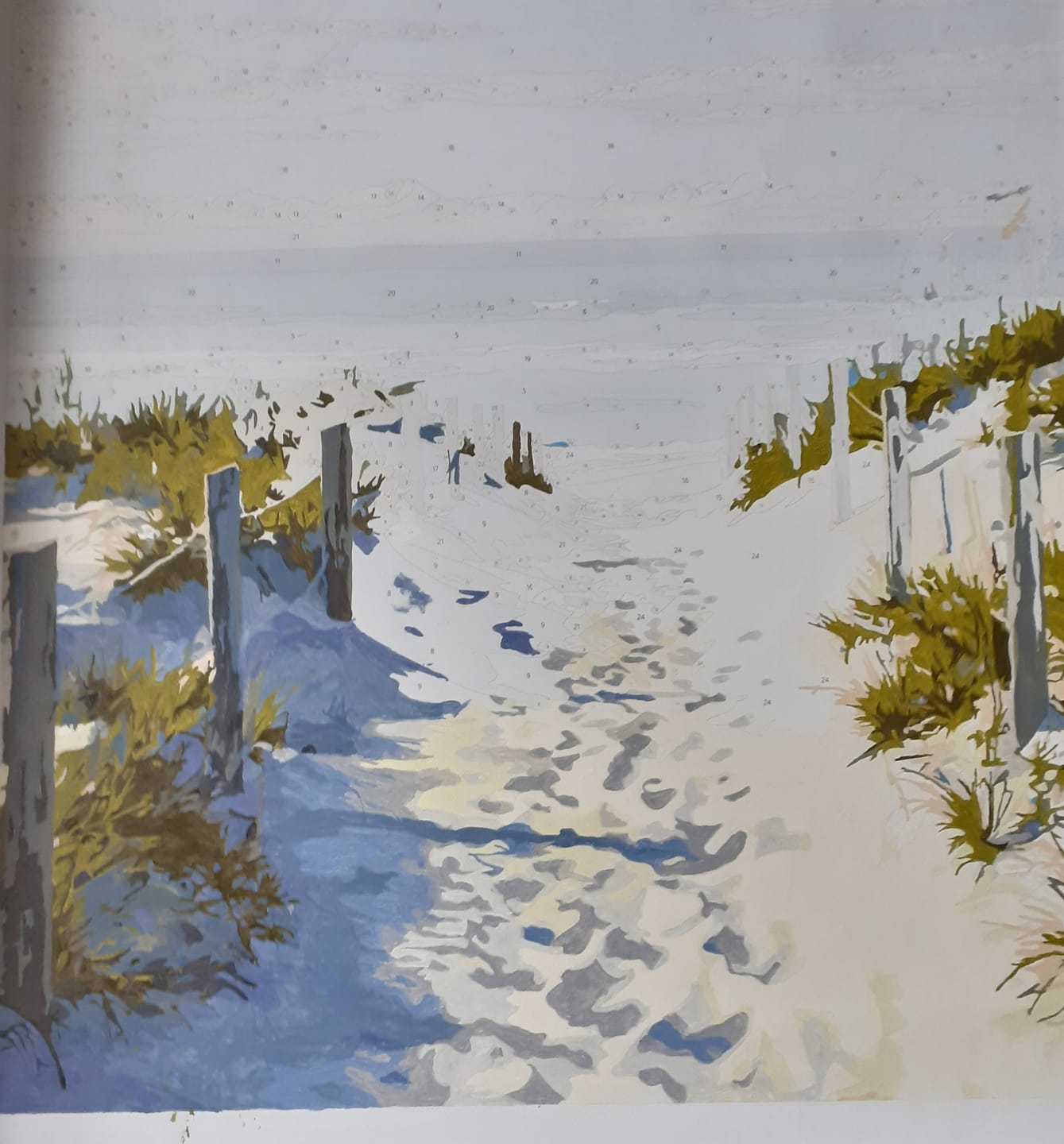 Customer photo review of Beach Path | Paint by Number