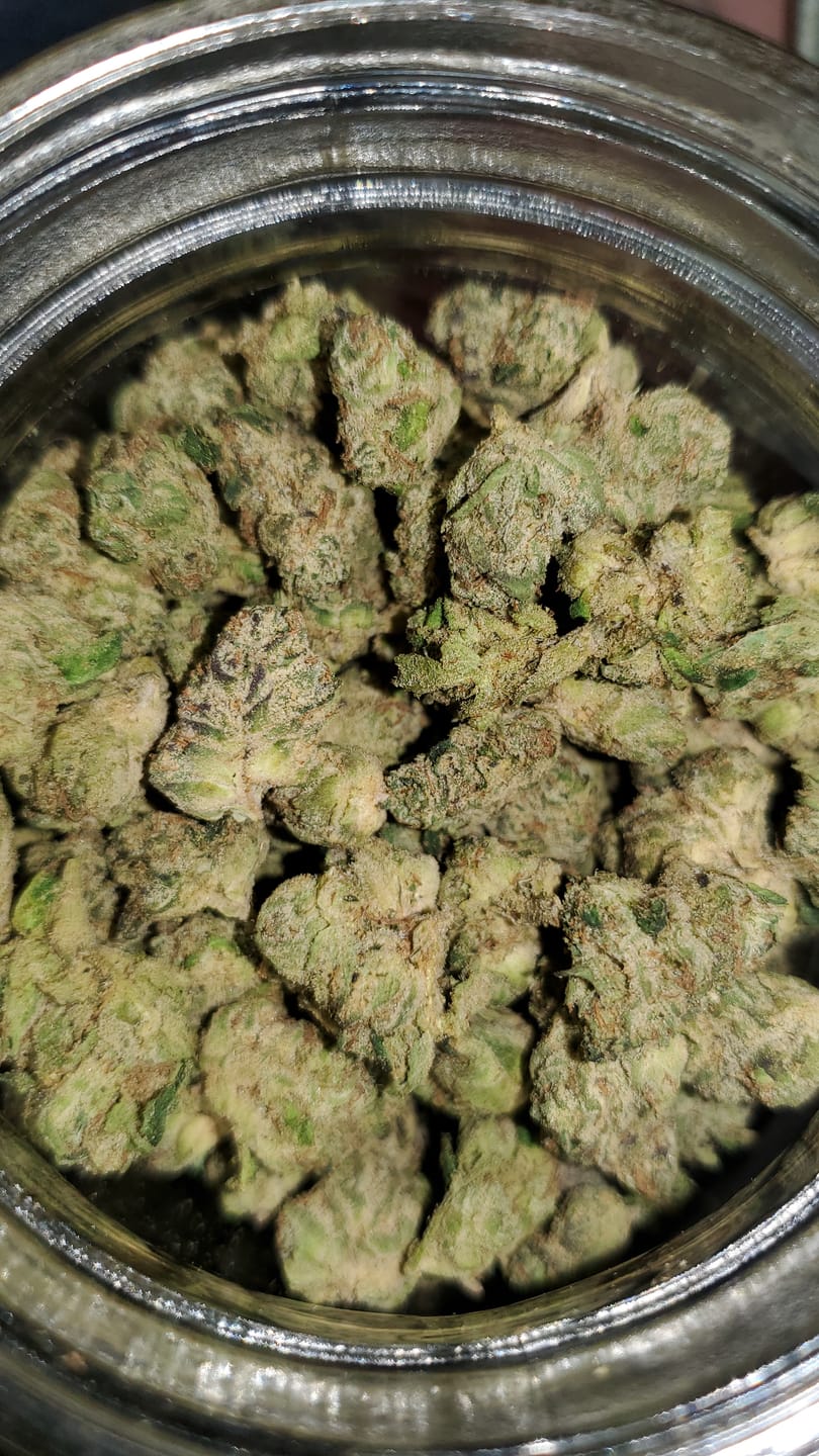 Customer photo review of Runtz THCA Flower (Budget)