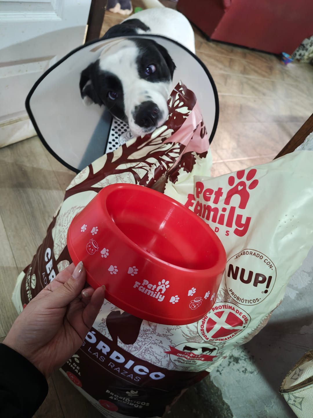 Customer photo review of PetFamily Foods Cerdo Nordico