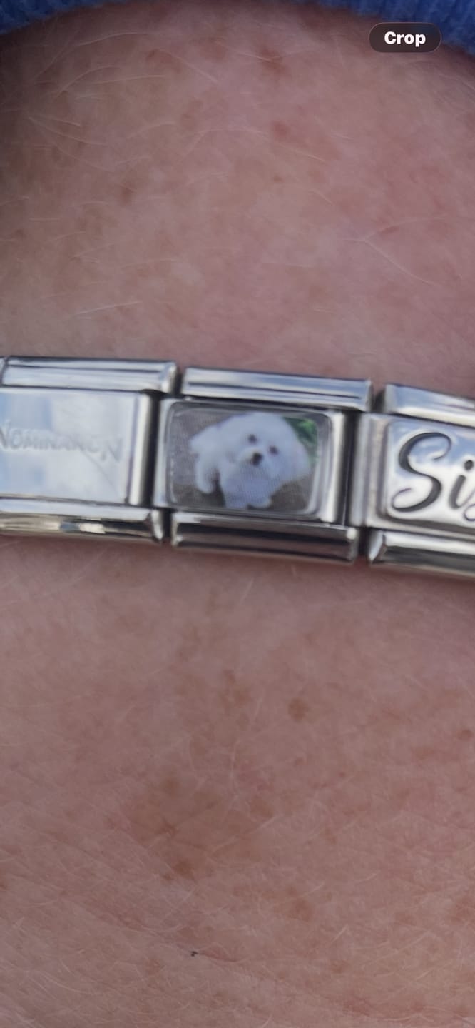Customer photo review of Custom Charm