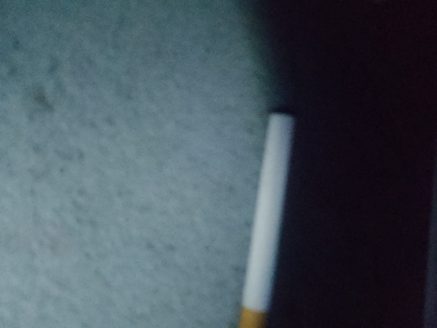 Customer photo review of CBD Aroma Trim