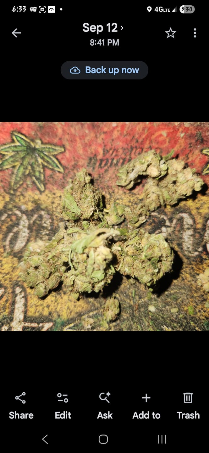 Customer photo review of Northern Lights - 28 Grams - Indica