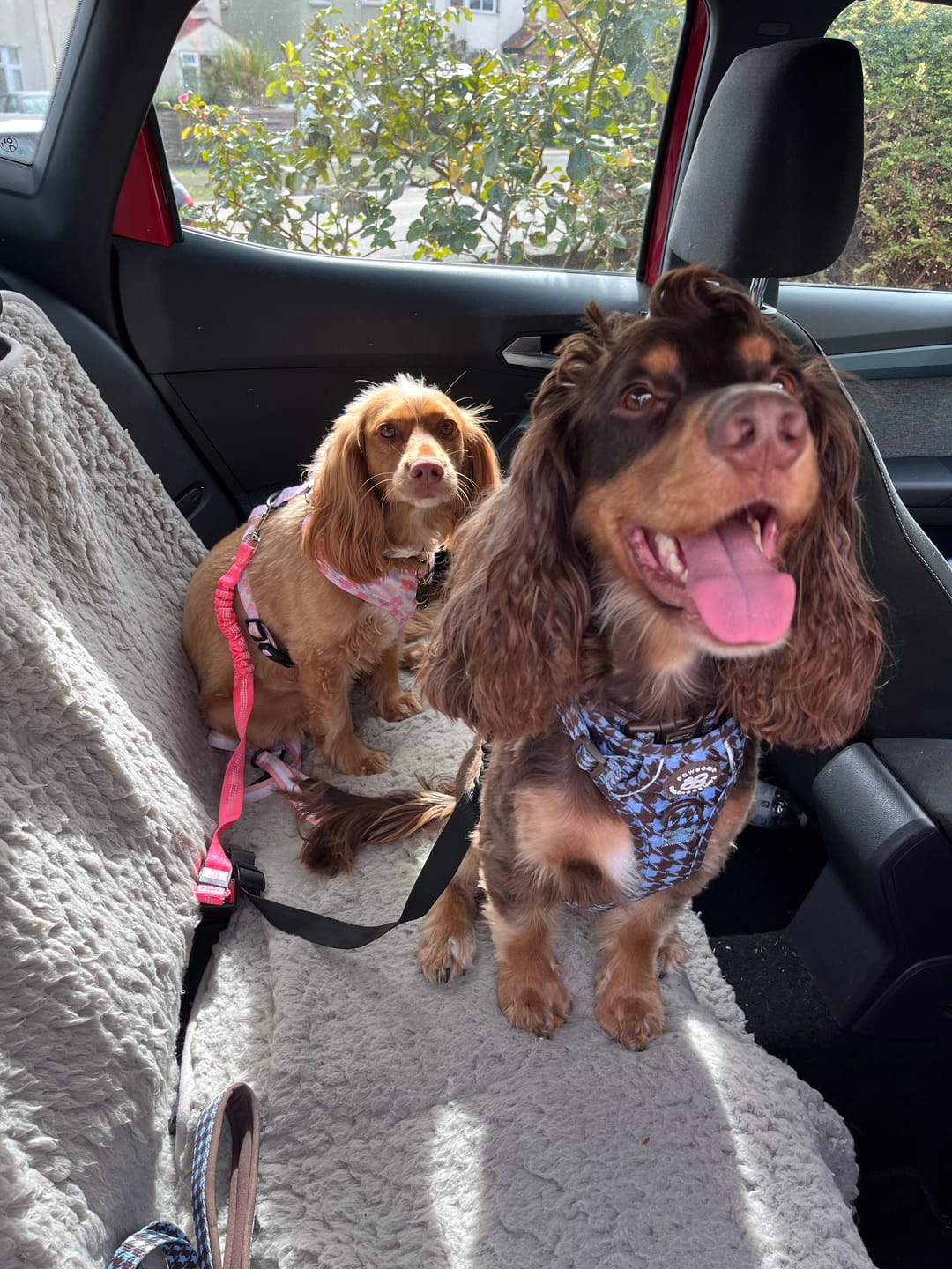 Customer photo review of AdjustFit Lead - Horizon Houndstooth